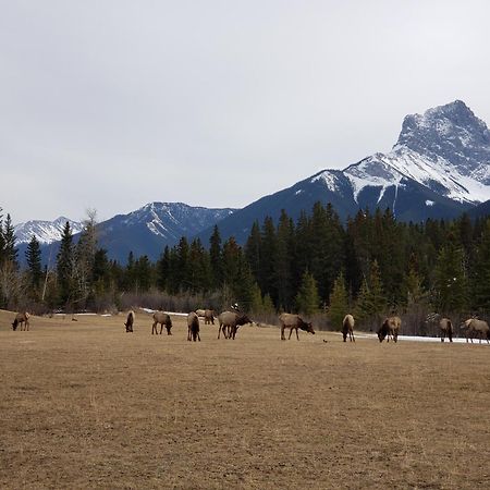 Enchanted Mountain Getaway Canmore Exterior foto